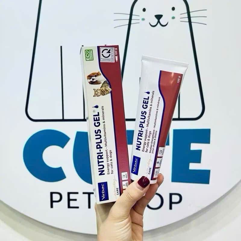 z7222720990772_522ab253f7ca88ed60df8ecf0488c29d