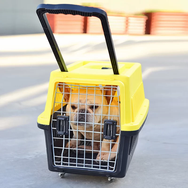 Mua Đồ Dùng Vận Chuyển Chó Mèo Đa Dạng Mẫu, Giá Tốt