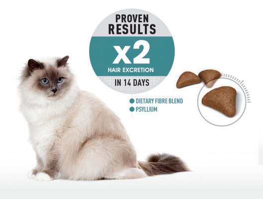 Royal Canin Hairball