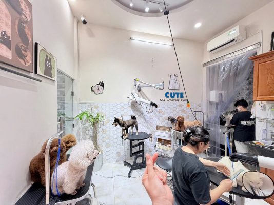 Cắt tỉa lông chó mèo chuyên nghiệp