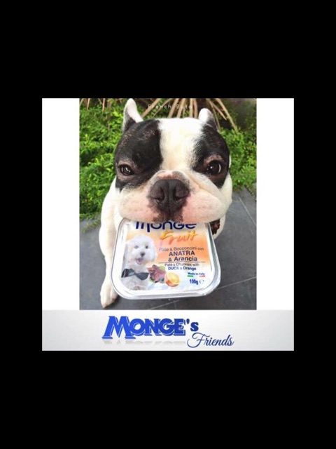 Pate Monge Cho Chó Thơm Ngon Đủ Vị ( Hàng Nhập Ý) CUTEPETSHOP - Ảnh 6