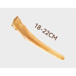 Xương đuôi bò gặm tự nhiên cho chó size nhỏ 18–22cm – Không muối, không hương liệu