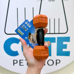 Đồ Chơi Tạ Cao Su Cho Chó Fetch! – TPR Dumbbell 1.5kg Gặm Nhai Bền Chắc