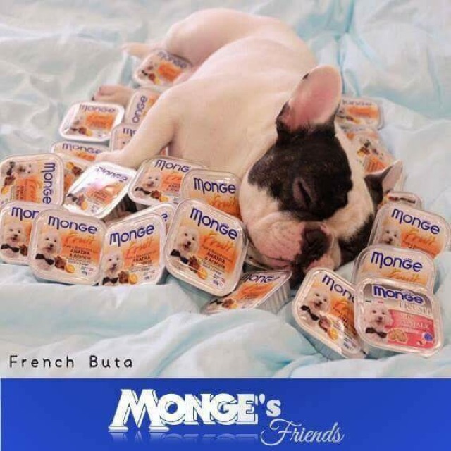 Pate Monge Cho Chó Thơm Ngon Đủ Vị ( Hàng Nhập Ý) CUTEPETSHOP - Ảnh 4