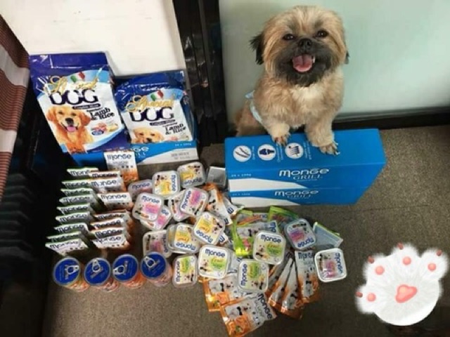 Pate Monge Cho Chó Thơm Ngon Đủ Vị ( Hàng Nhập Ý) CUTEPETSHOP - Ảnh 5
